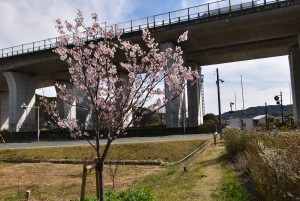 2025.03.18敷地駅1