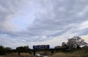 IMG_1667