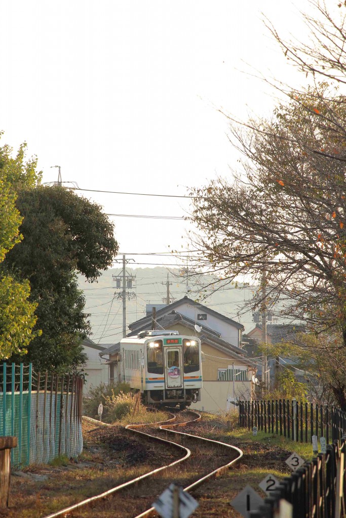 IMG_1722B(2025_11_15)