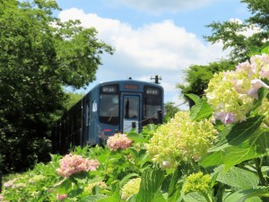 IMG_7759 (2)