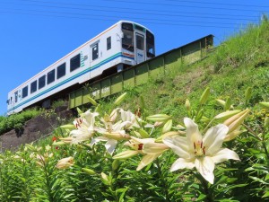 IMG_9004 (3)