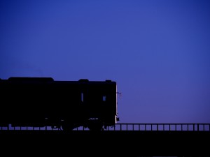 P7231737 (2)
