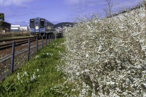 2026.03.15金指駅2