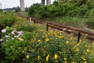 2023.06.05敷地駅2