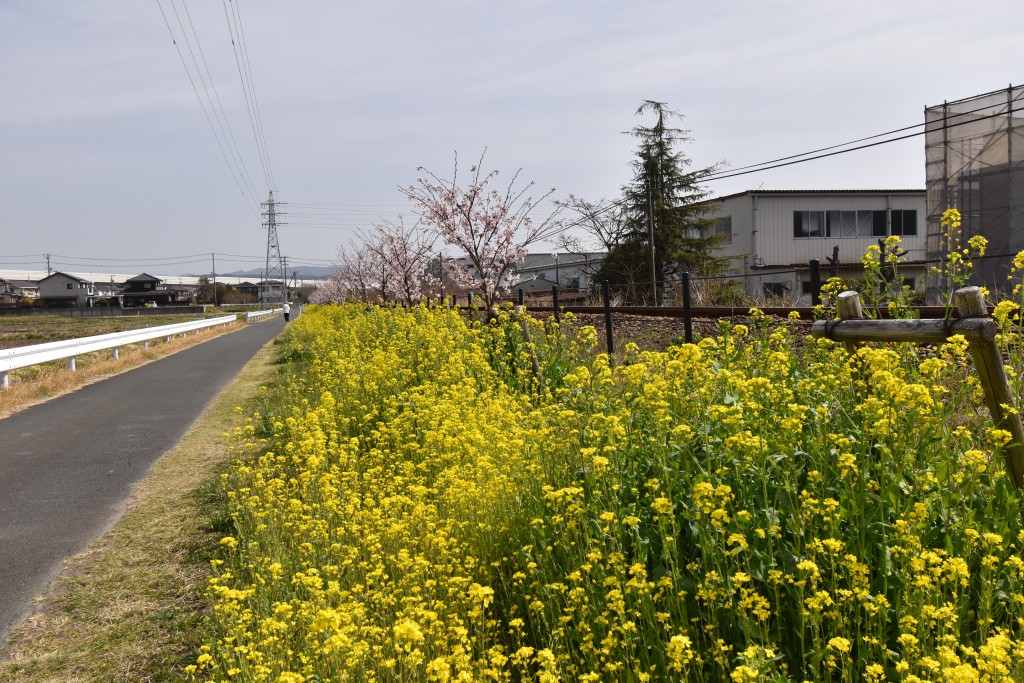 2022.03.17岩水寺駅～宮口駅間1