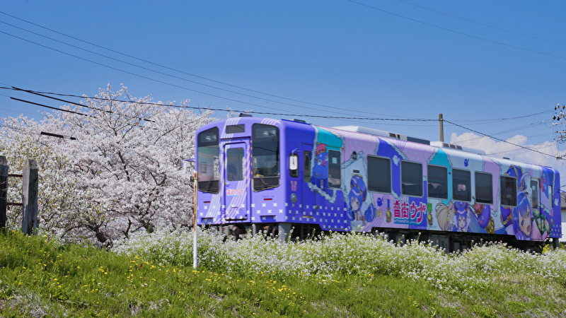 尾奈駅桜東側投稿用