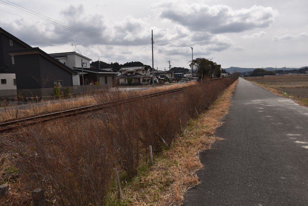 2026.02.20細谷駅ユキヤナギ3