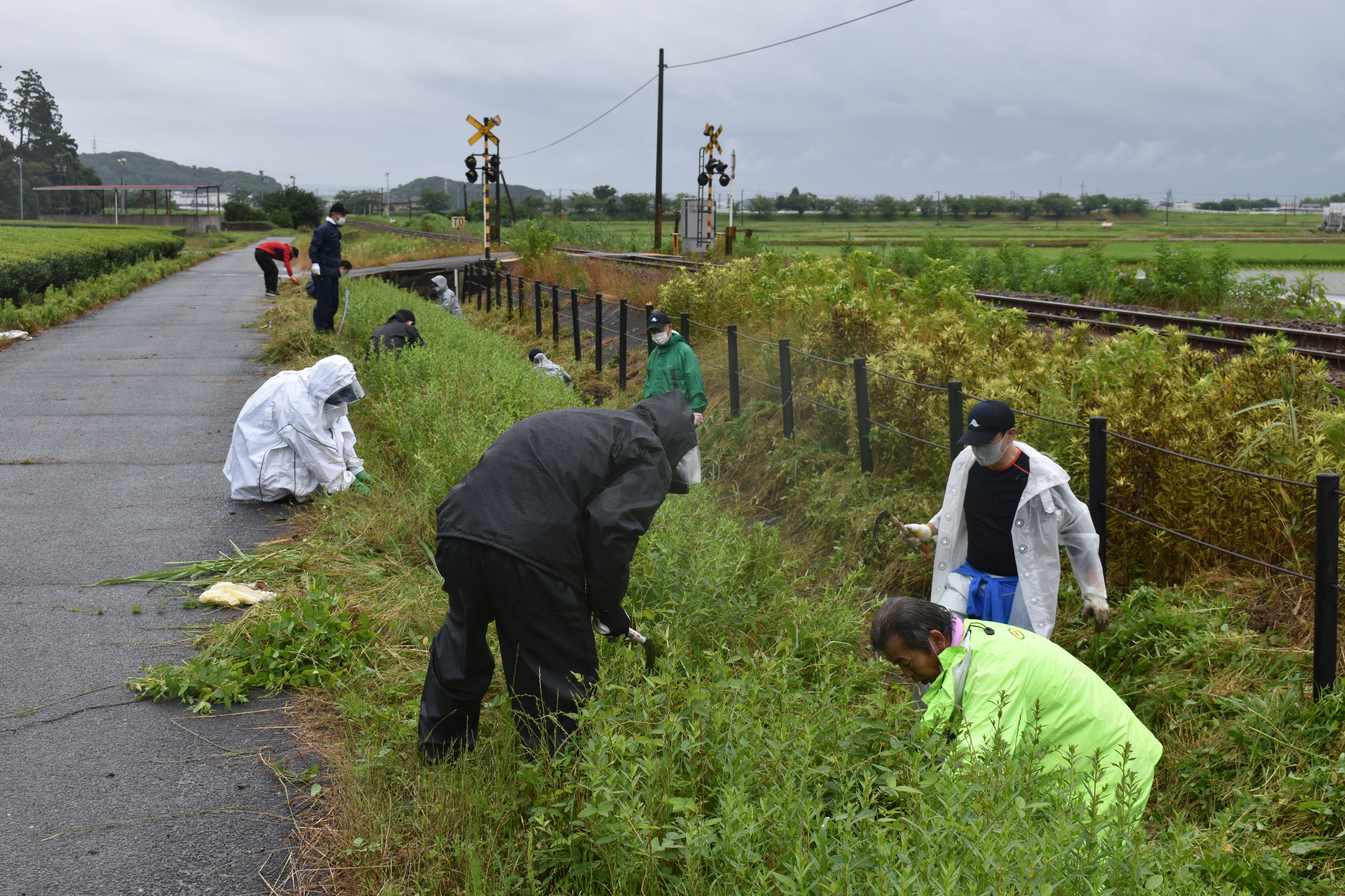 2021.06.19山田地区浜磐信除草1