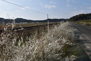 2026.03.17山田地区2