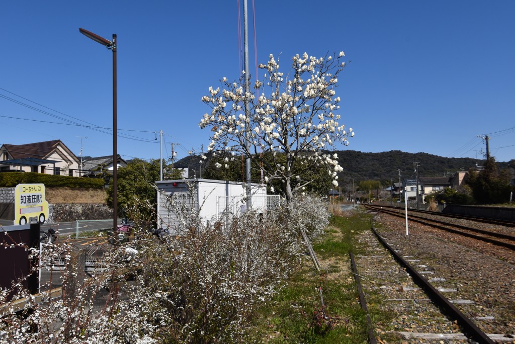2024.03.11知波田駅1