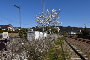 2024.03.11知波田駅1