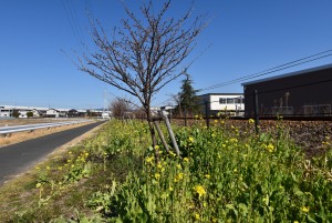 2023.02.27岩水寺駅～宮口駅間2