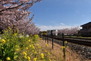 2025.03.18豊岡駅5