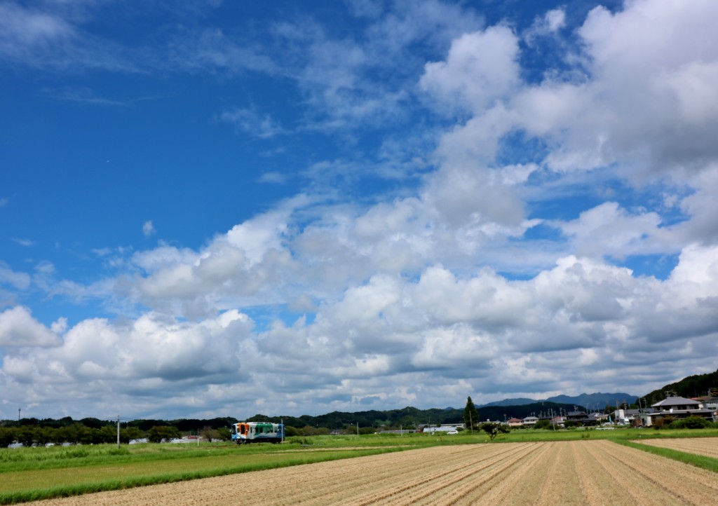 aozorasyochan20160828