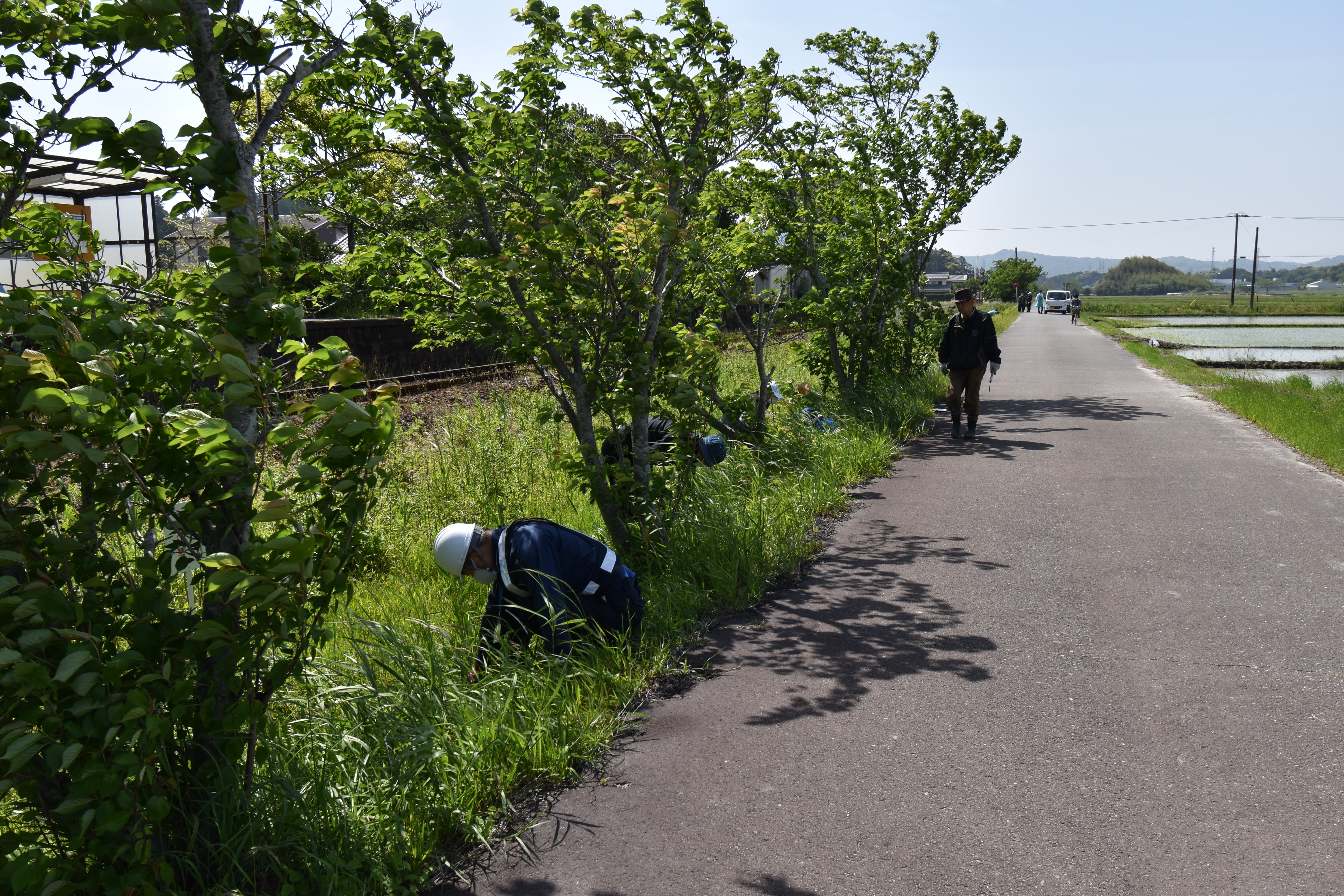 2021.05.08掛川RC,掛川グリーンRC除草活動3