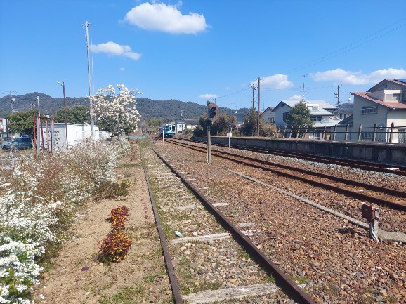 2026.03.12知波田駅6
