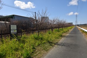 2023.03.06岩水寺駅～宮口駅間6