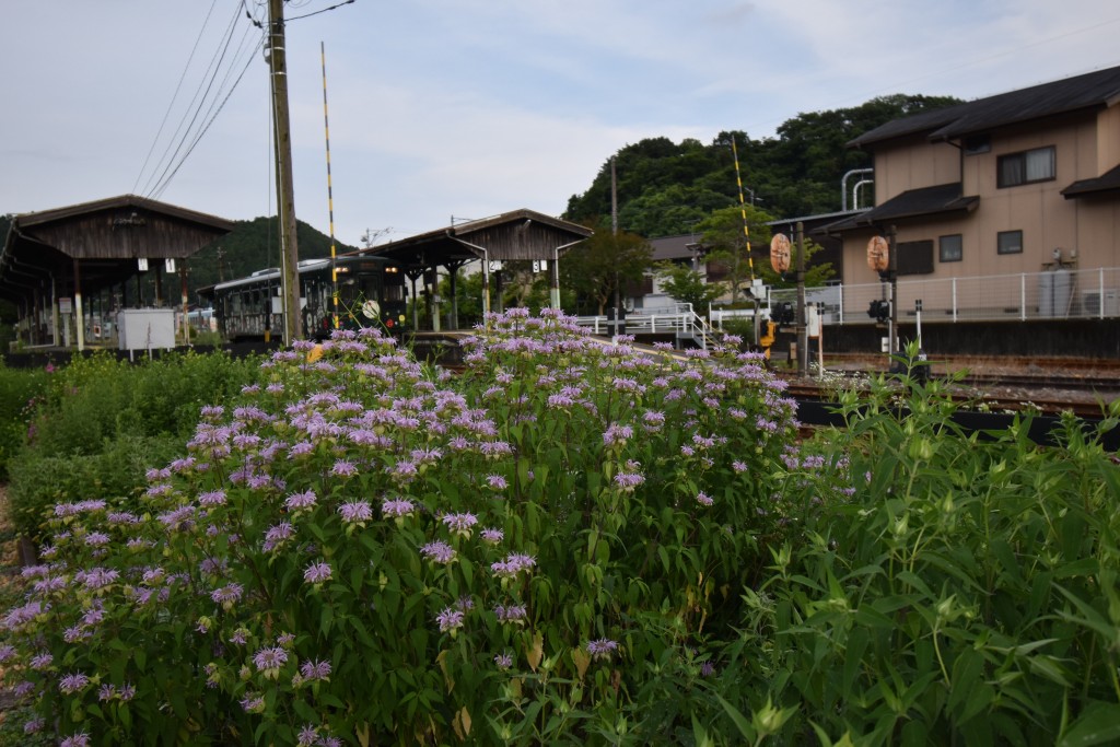 2021.06.15天竜二俣駅5