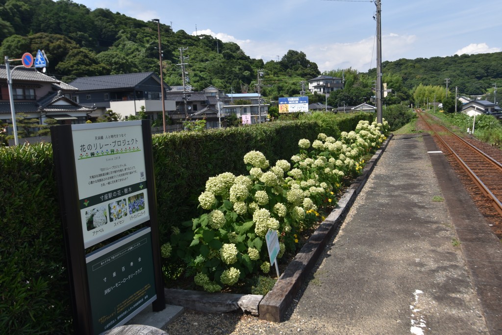 2022.07.11寸座駅1