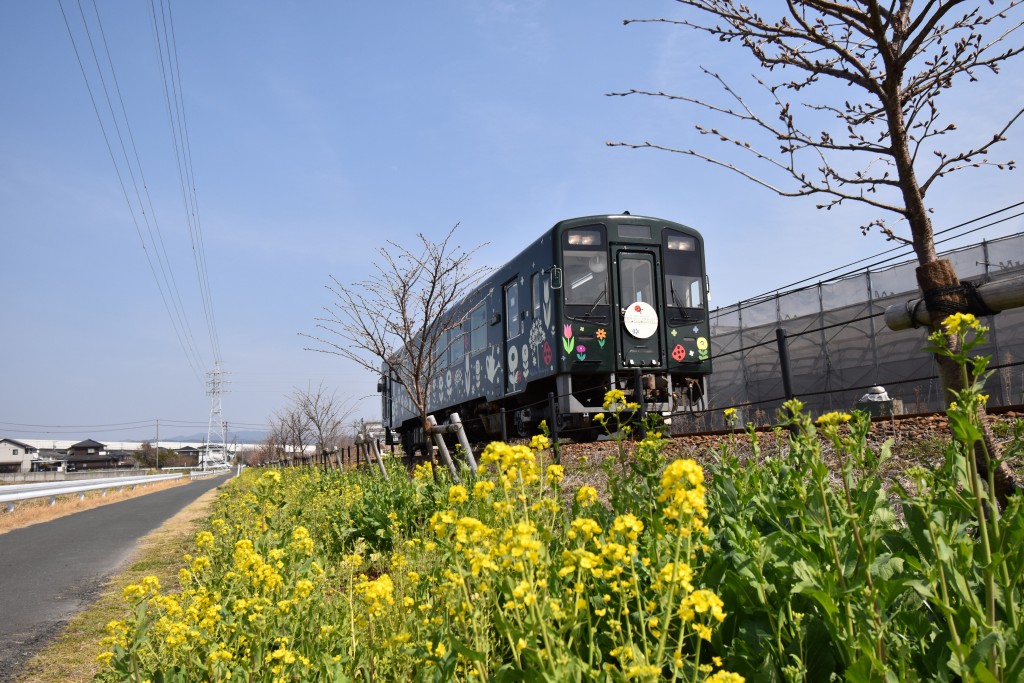 2022.03.11岩水寺駅～宮口駅間2