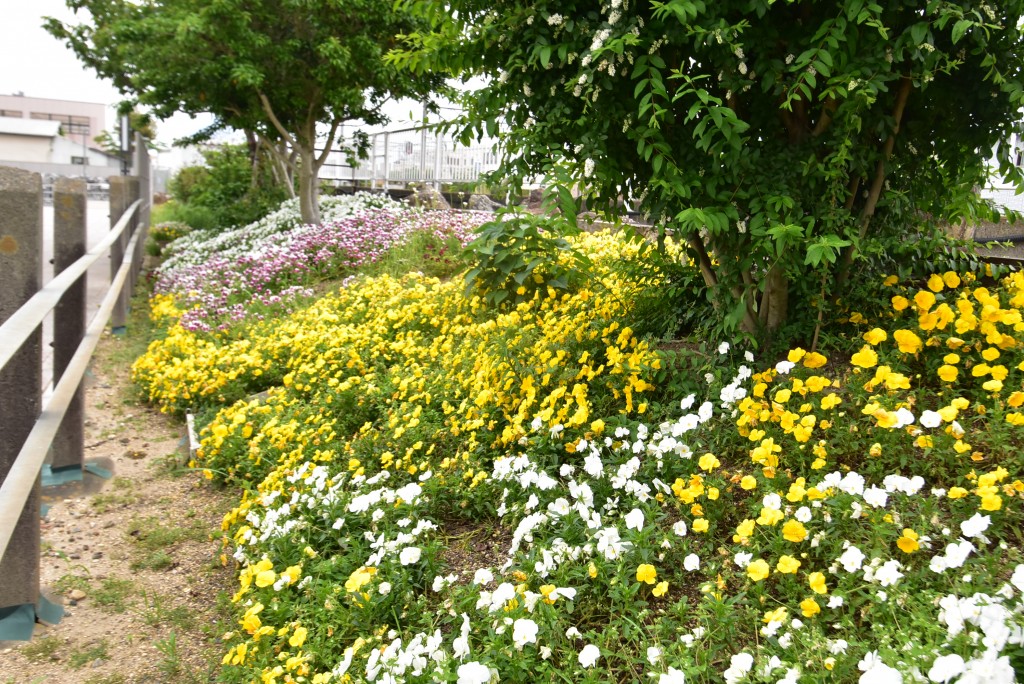 2026.05.08新所原駅2