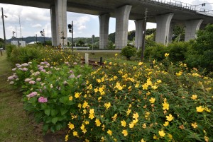 2024.06.04敷地駅3