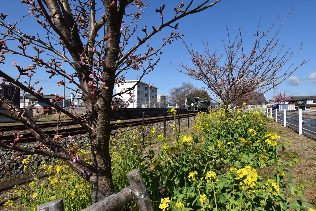 2023.03.06豊岡駅3