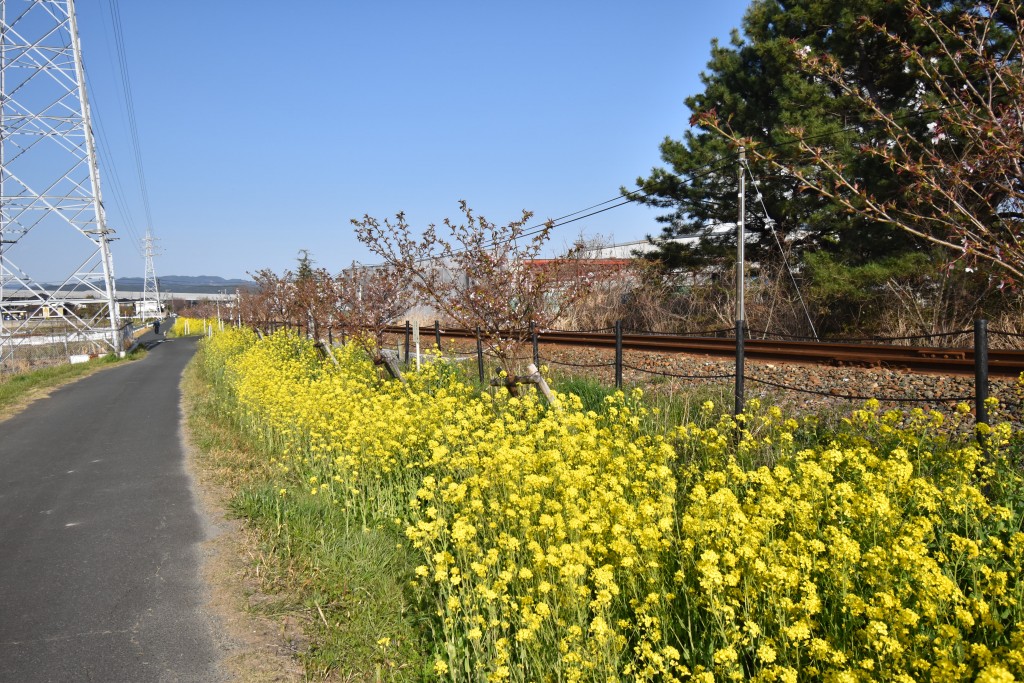 2022.03.24岩水寺駅～宮口駅間1