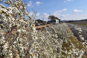 2026.03.17細谷駅9