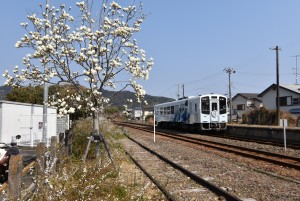 2023.03.08知波田駅2