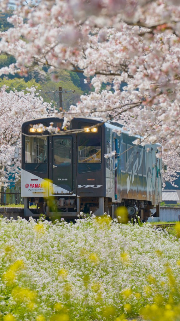 2023尾奈駅