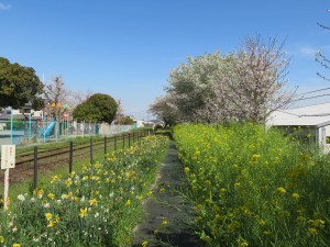 2023.03.28気賀4