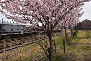 2025.03.18遠州森駅4