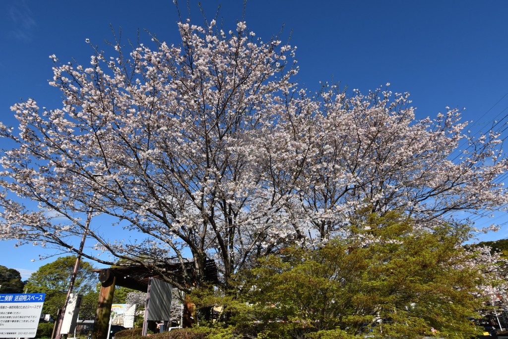 2026.04.02g天竜二俣駅前2