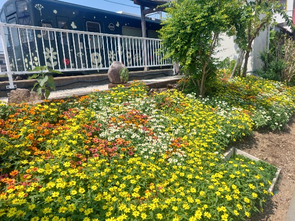 2026.07.30新所原駅4