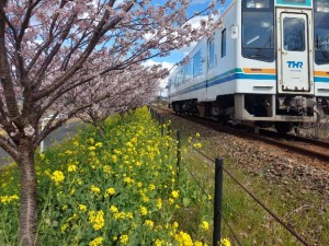 2026.03.10岩水寺駅～宮口駅間1