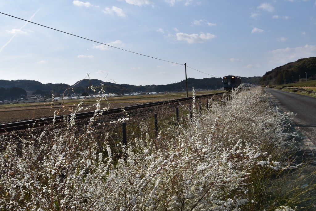 2026.03.17山田地区3