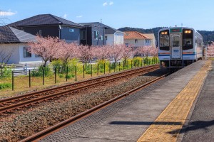 2024.03.14豊岡駅 彦坂3