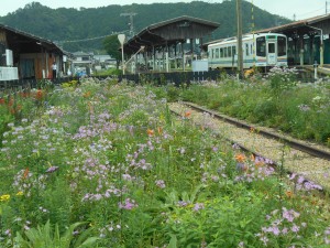 天竜二俣駅花壇③