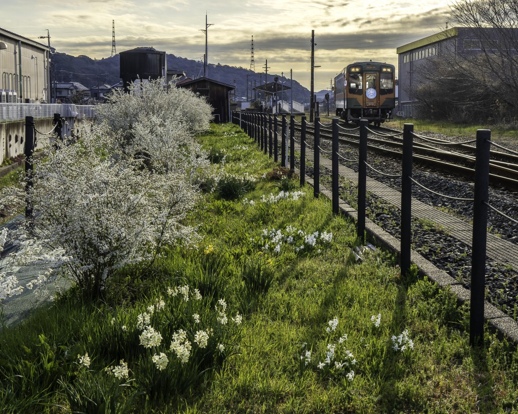 2026.03.15金指駅9