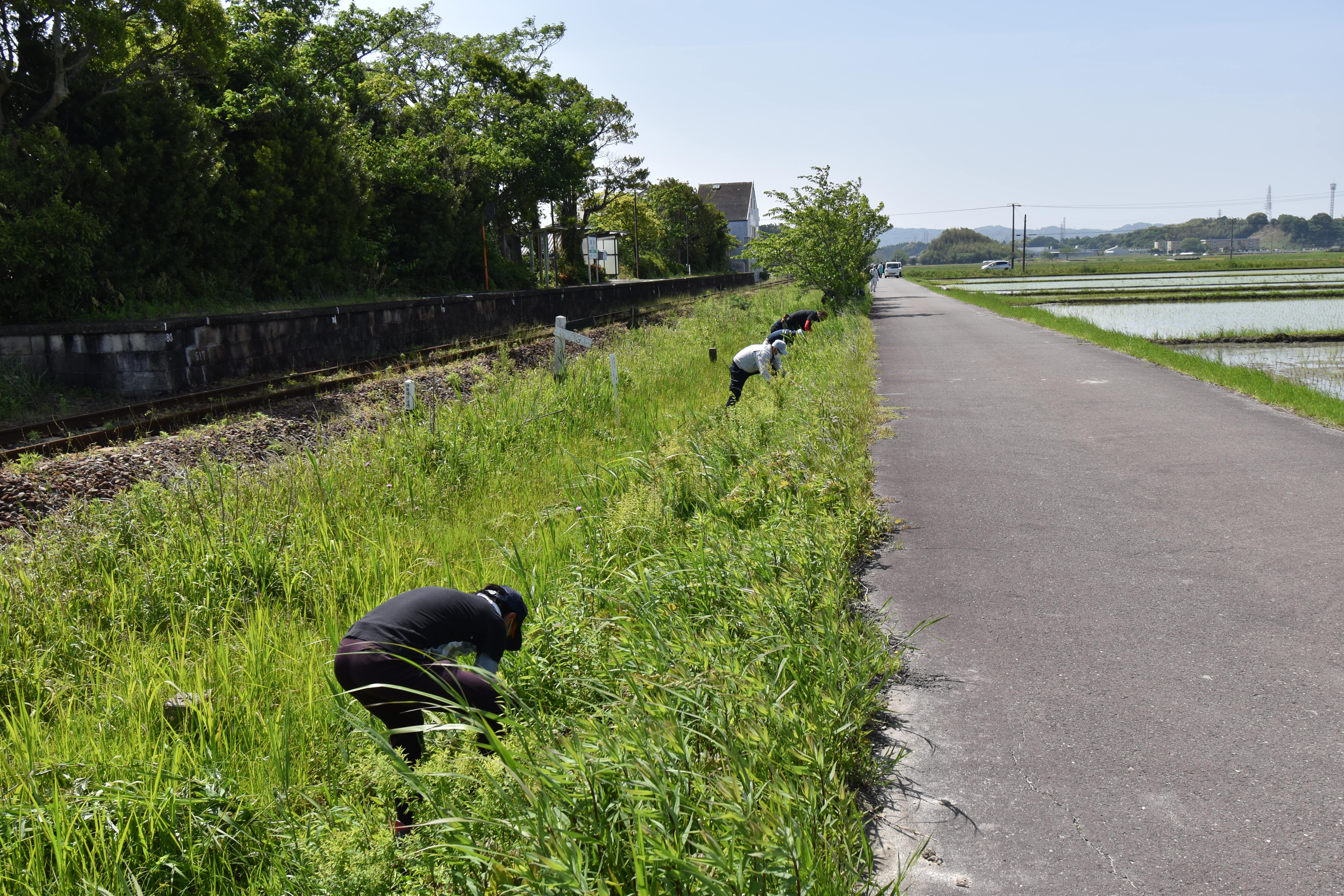 2021.05.08掛川RC,掛川グリーンRC除草活動1