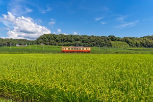 ＭEGAリラックス投稿用