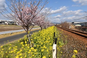 2023.03.14岩水寺駅～宮口駅間3