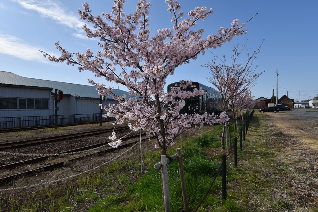 2023.03.14遠州森駅2