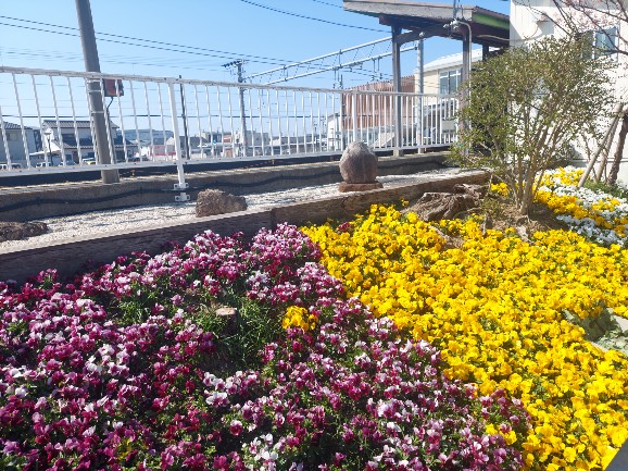 2026.03.12新所原6