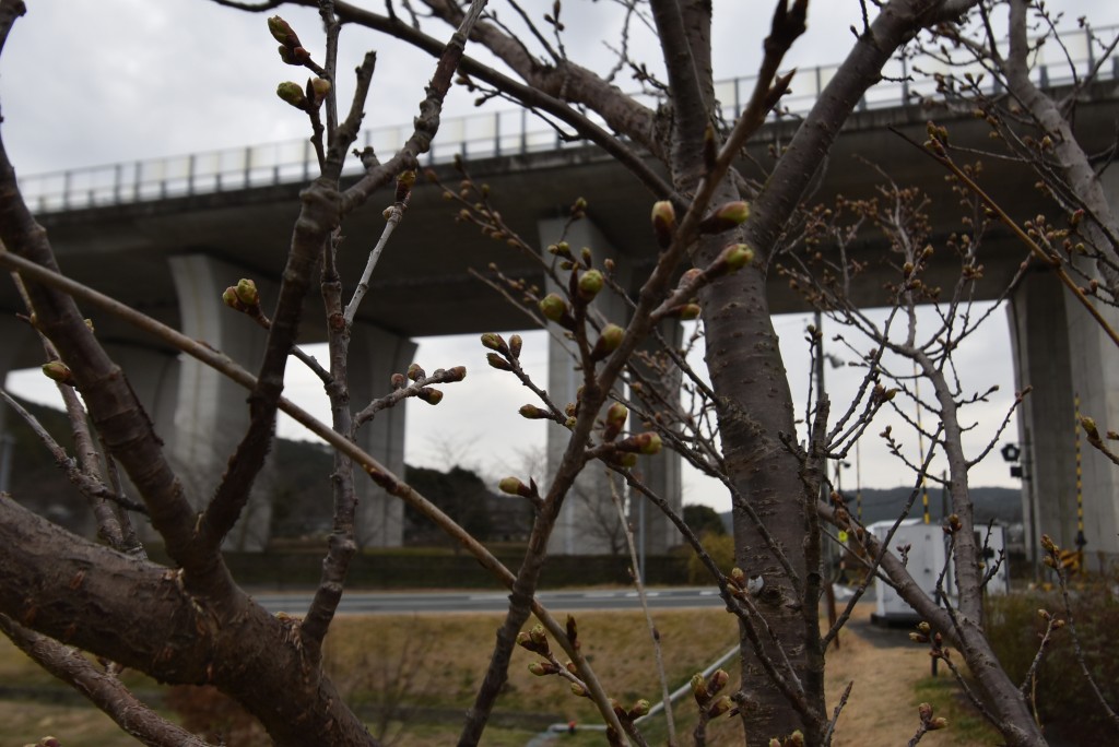 2026.02.24敷地駅4