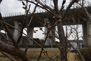 2026.02.24敷地駅4