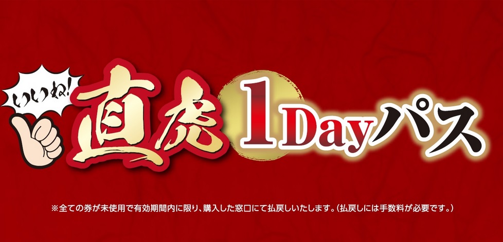 1Dayパス