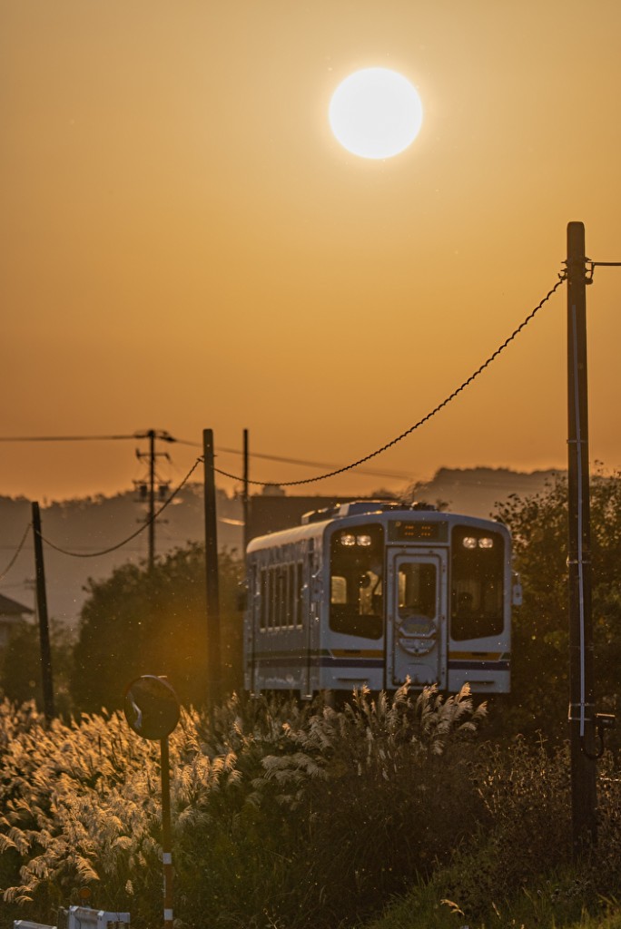 暖秋の夕刻投稿用