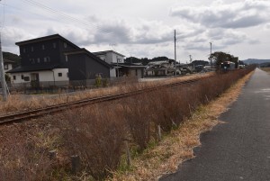2026.02.20細谷駅ユキヤナギ5